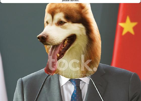 dog president