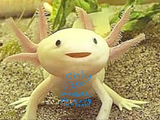 plz save axolotl