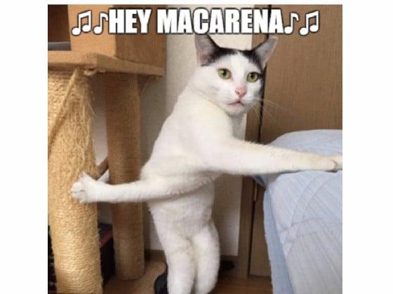 Do the Macarena!