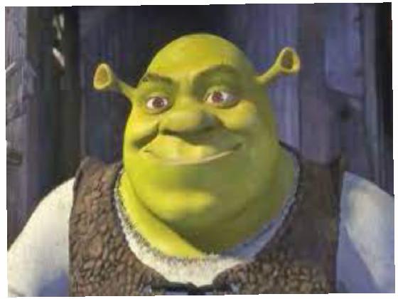 What the Shrek!