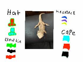 dress up the lizard