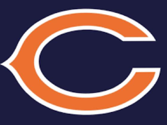 bears logo drawing