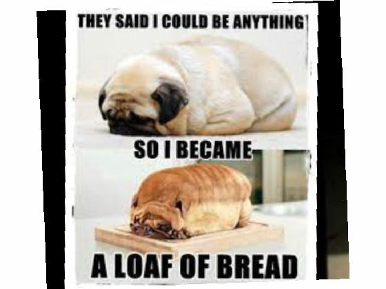 Its Called Dogebread!