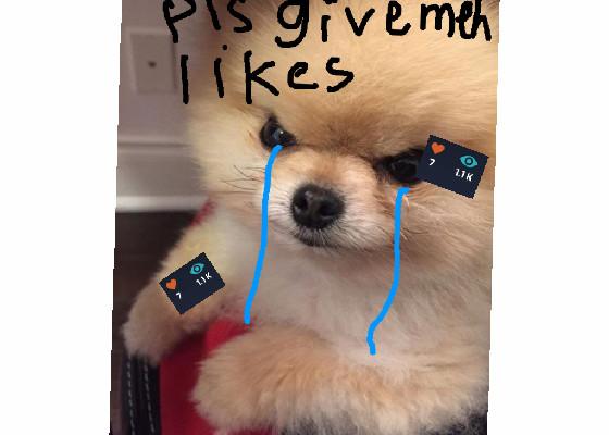 Pls give me more likes :(