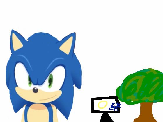 Eco Sonic