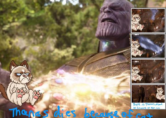 Thanos dies because of cat