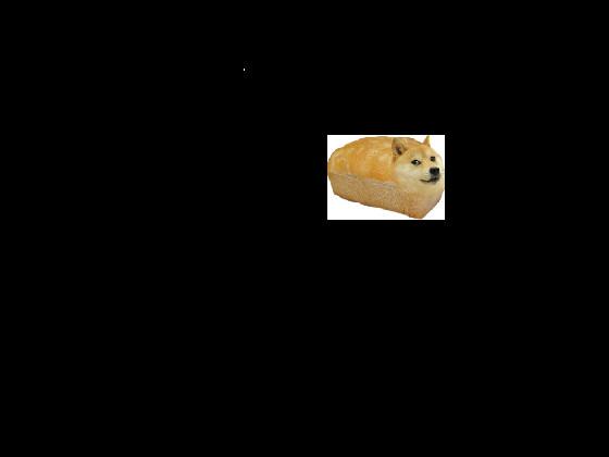 doge Spin 