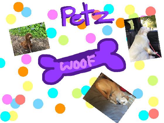 re:PETZ  1