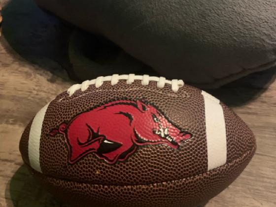 go Arkansas razorbacks