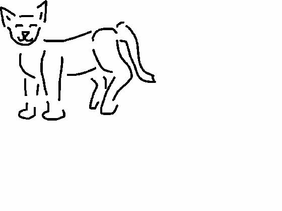 how to draw a cat