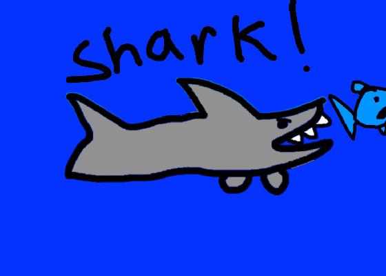 Shark! 1 1