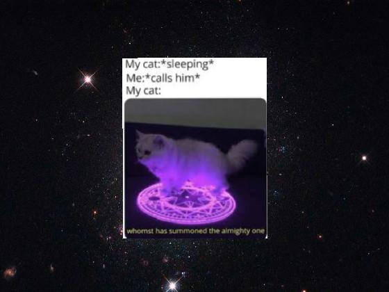 re:cat memes 1