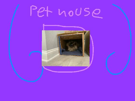 Make a pet house