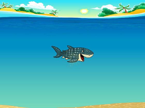 Bob the whale shark