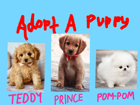 Adopt A Puppy 1