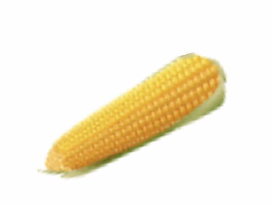 corn