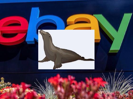 seal at  ebay