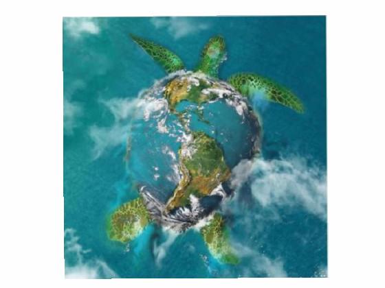 the earth turtle