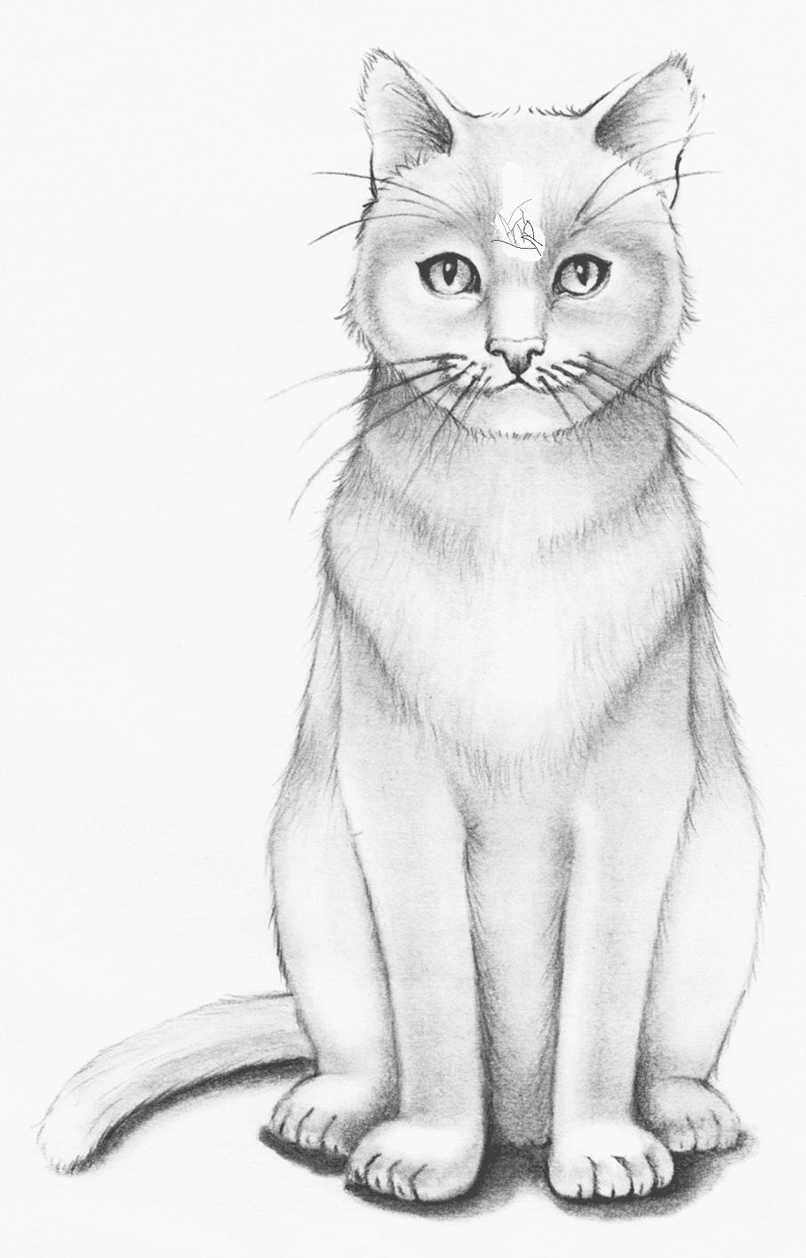 my best cat drawing