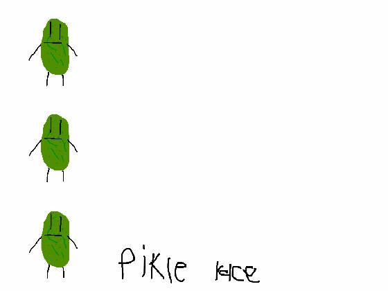 pikle race !!!!!