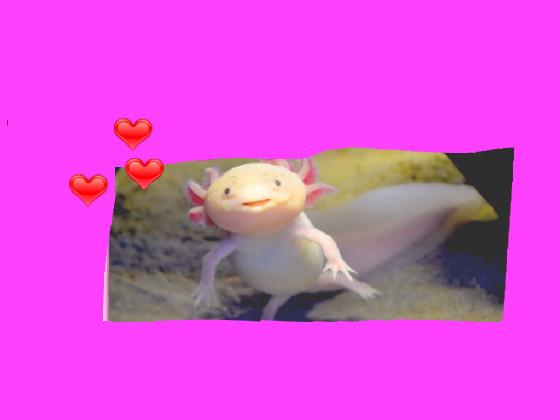 look at this axolotl