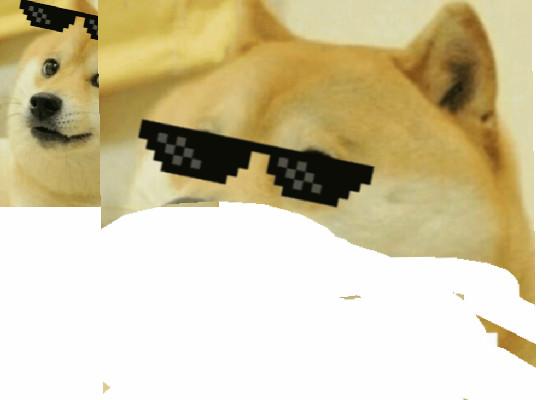 DOGE  1 1 1