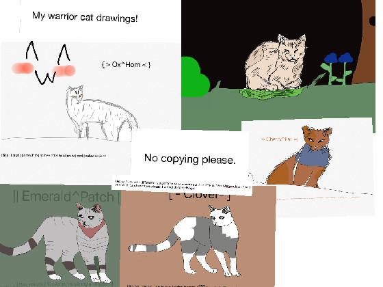 My warrior cat drawings! don’t copy ❤️