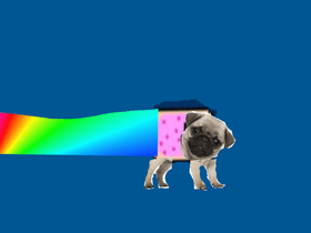 nyan pug!!