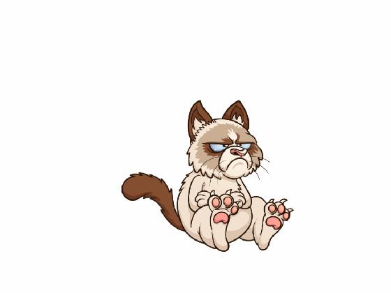 angry cat 10000000000000