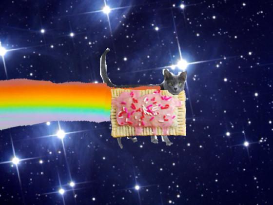 Real nyan cat 1