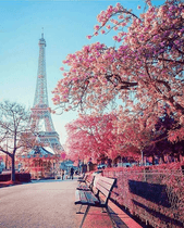 Paris: Travel Guide!