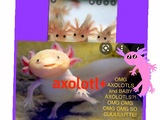 AXOLOTLS! SO CUTE!