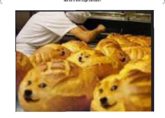 doge bakery