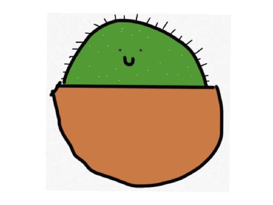 happy Cactus :D