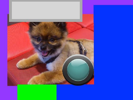 Pomeranian clicker