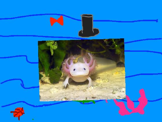 dress up axolotl