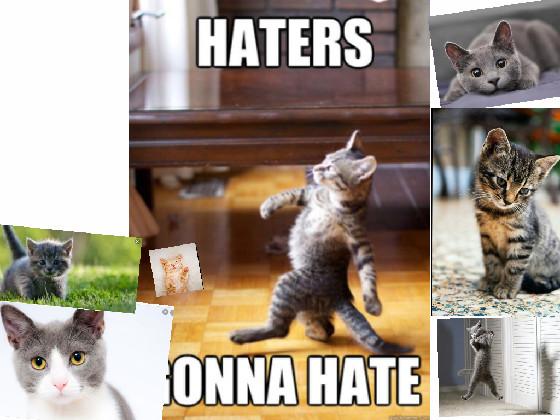 Haters Gonna Hate with cute