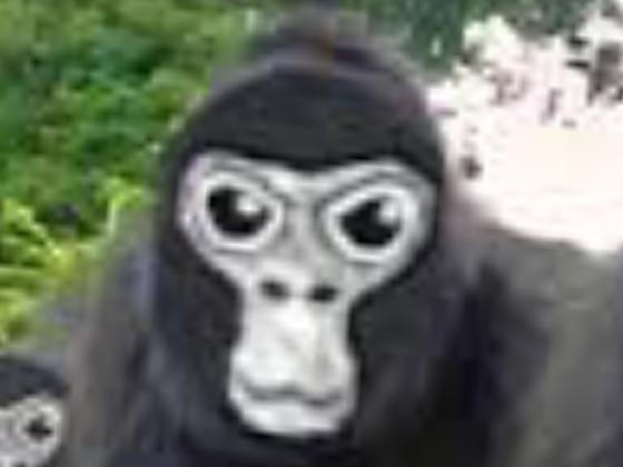 monke