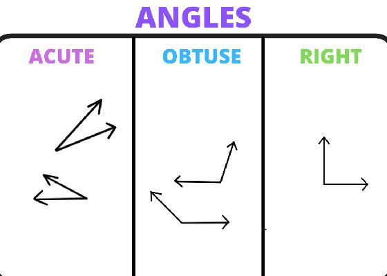 angles 1