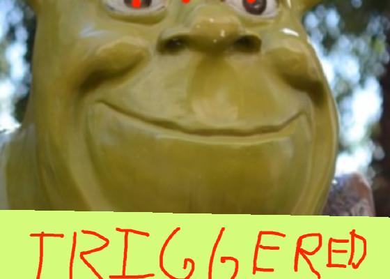 Triggered shrek 1