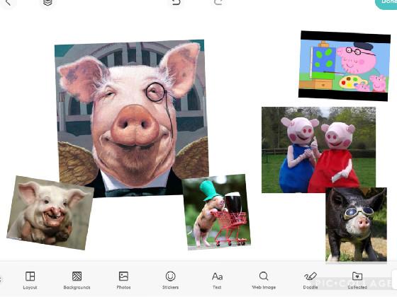 Funny pigs complication