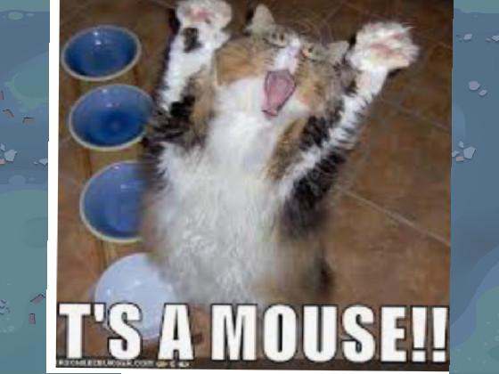 it’s a mouse!!!!!!!!!!