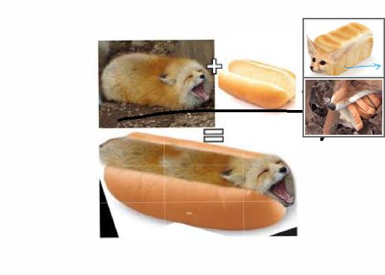 Bread fox 1