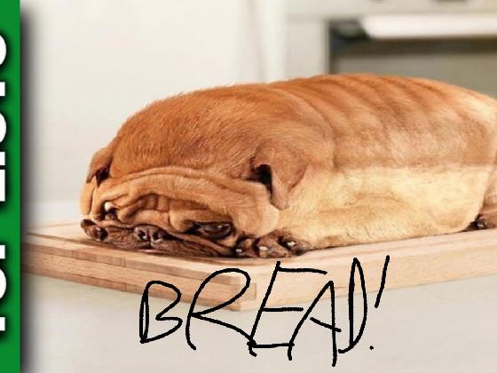 BREAD 1 1