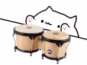 Bongo Cat Meme