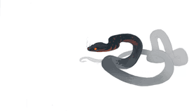 snake