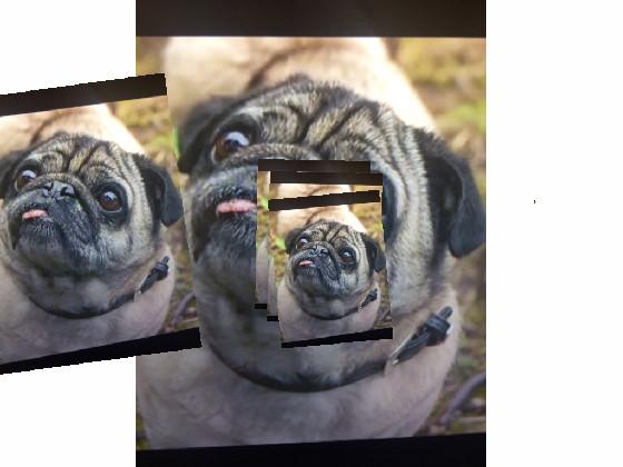 The Pug Multiplier 1