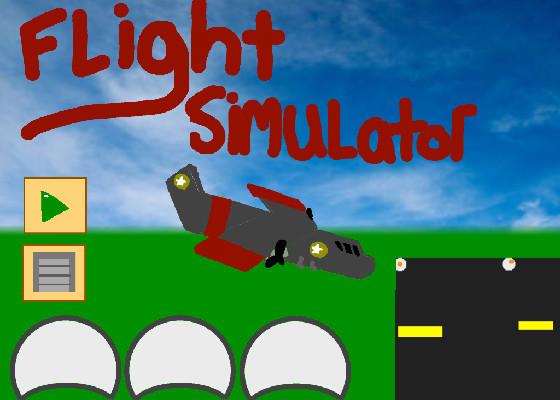 Flight Simulator 1