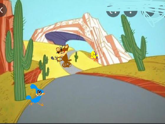 road runner