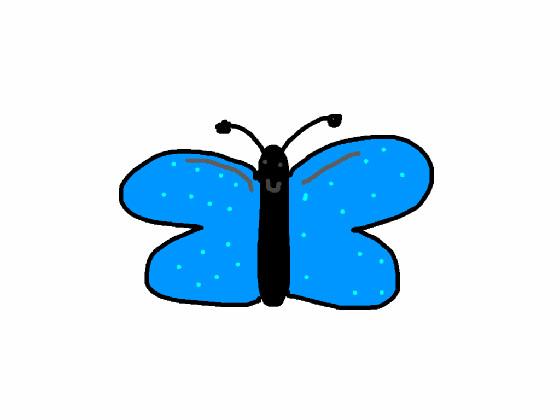 Butterfly drawing